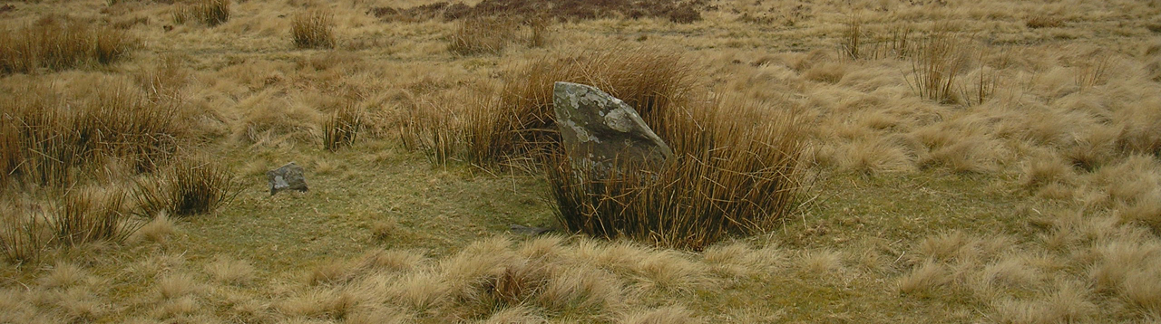 Single stone at Porlock Common Stone Circle (© ENPA 2013)