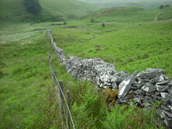 Section of Royal Forest Boundary wall (Peter Bonvoisin 2012)